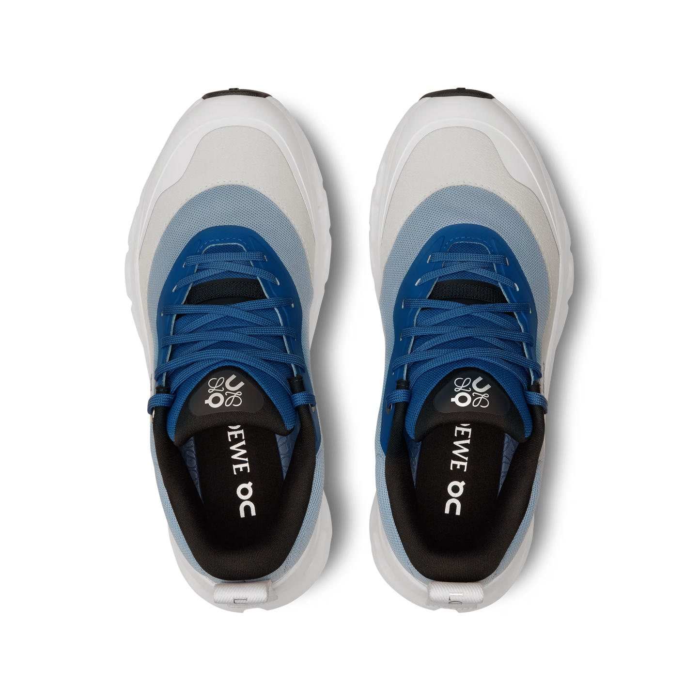CT. x LW Men