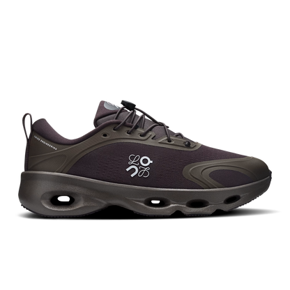CS x LW