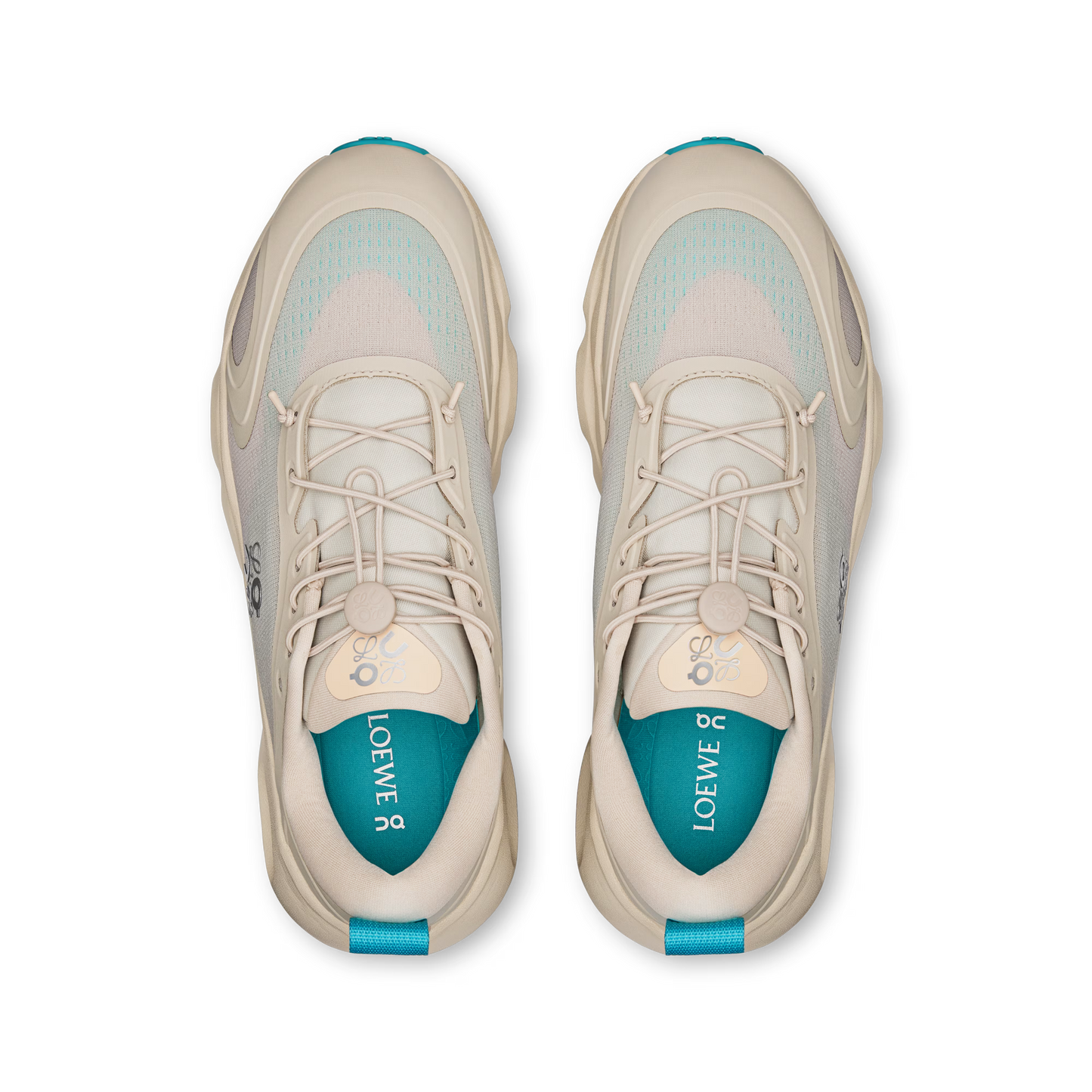 CS x LW