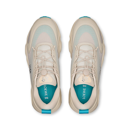 CS x LW