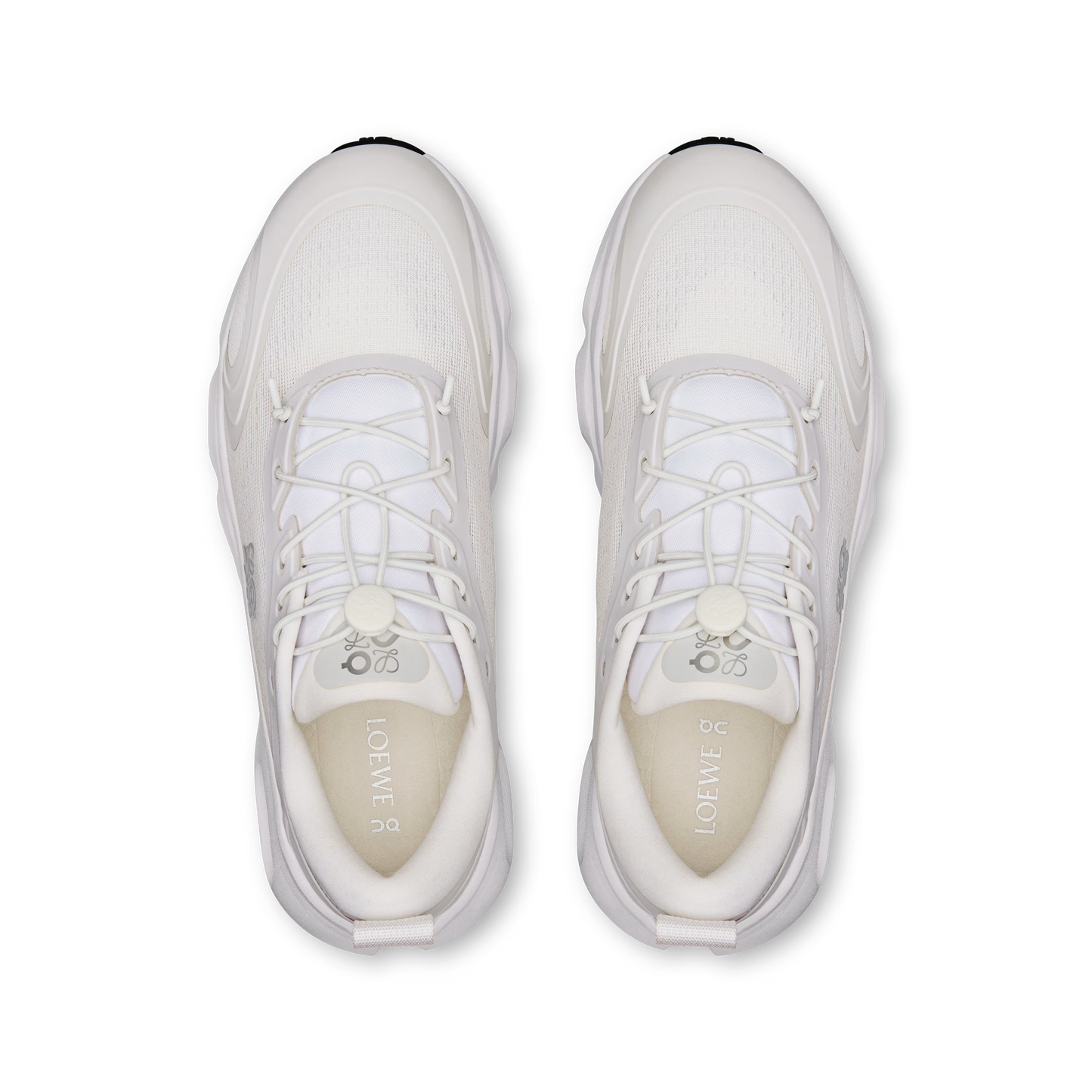 CS x LW